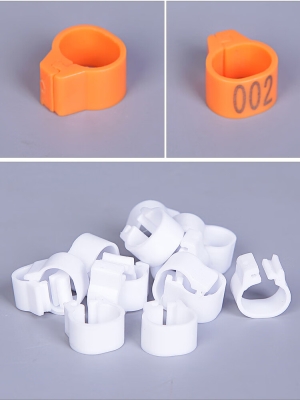 赤峰賽鴿用品專賣店電話號(hào)碼-第1張圖片