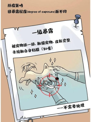 赤峰市狂犬病門(mén)診電話號(hào)碼-第1張圖片