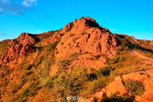 赤峰 森林公園-第1張圖片