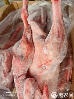 赤峰大鵝夜場電話地址是多少號-第1張圖片