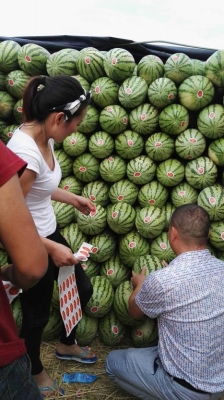 赤峰橋頭私家車電話多少號-第1張圖片