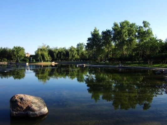 赤峰新城區(qū)慶豐樓電話號碼-第1張圖片