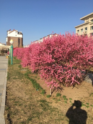 赤峰林西私人健身房電話號(hào)碼-第1張圖片