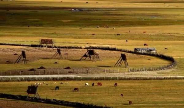 承德到赤峰網(wǎng)約車電話號碼-第1張圖片