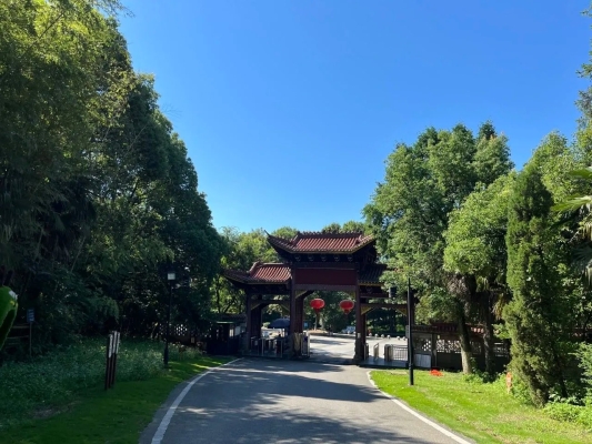 赤峰市馬鞍山森林公園-第1張圖片