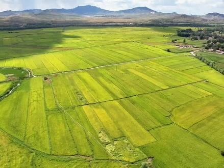 赤峰大板怎么樣-第1張圖片