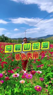 赤峰市近郊景區(qū)電話號(hào)碼是多少-第1張圖片