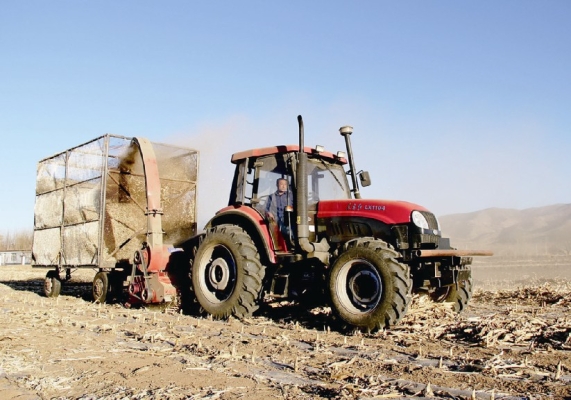 赤峰肉馬養(yǎng)殖場地址電話號碼-第1張圖片