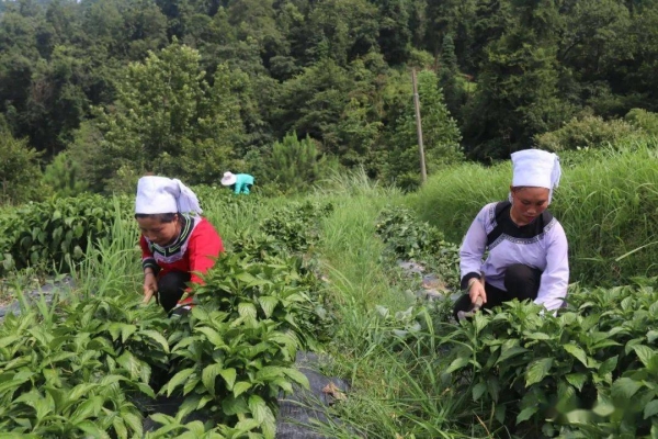 赤峰市水地鄉(xiāng)糧庫電話號碼是多少-第1張圖片