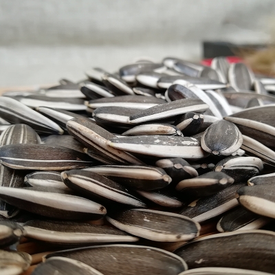 赤峰市黑臉瓜子廠家電話號(hào)碼-第1張圖片