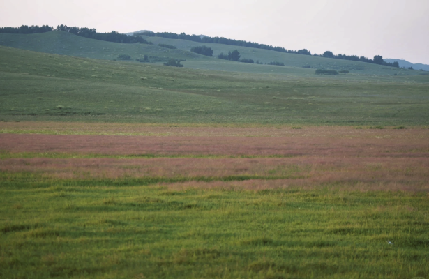 赤峰玩雪租車電話地址是多少號-第1張圖片