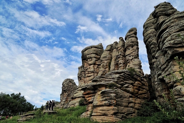 赤峰石林寵物醫(yī)院電話多少號(hào)-第1張圖片