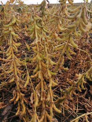 赤峰油料供應(yīng)站電話號(hào)碼是多少-第1張圖片