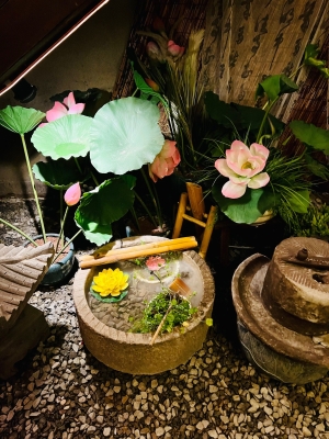 赤峰小波水族館地址電話號碼-第1張圖片