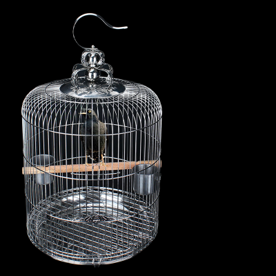 赤峰平價(jià)寵物用品批發(fā)電話號(hào)碼-第1張圖片