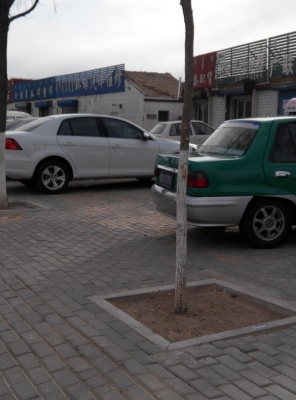 赤峰環(huán)球音像店電話多少號(hào)-第1張圖片