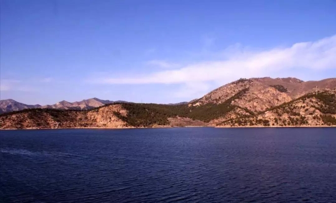 赤峰大福流浪救助站電話號碼-第1張圖片