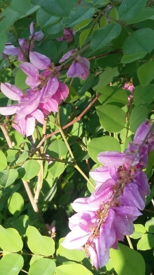 赤峰橋北高爾夫球場電話號碼-第1張圖片