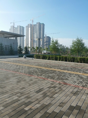 赤峰平莊鎮(zhèn)煮奶茶店電話號(hào)碼-第1張圖片