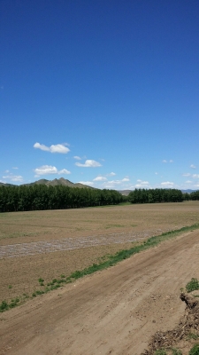 赤峰液化氣站點(diǎn)查詢電話號(hào)碼-第1張圖片