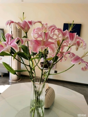 赤峰珈家月嫂電話號(hào)碼查詢-第1張圖片