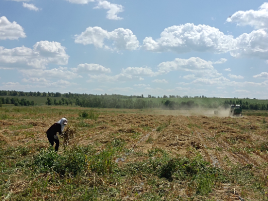 赤峰井關(guān)收割機(jī)電話號碼-第1張圖片