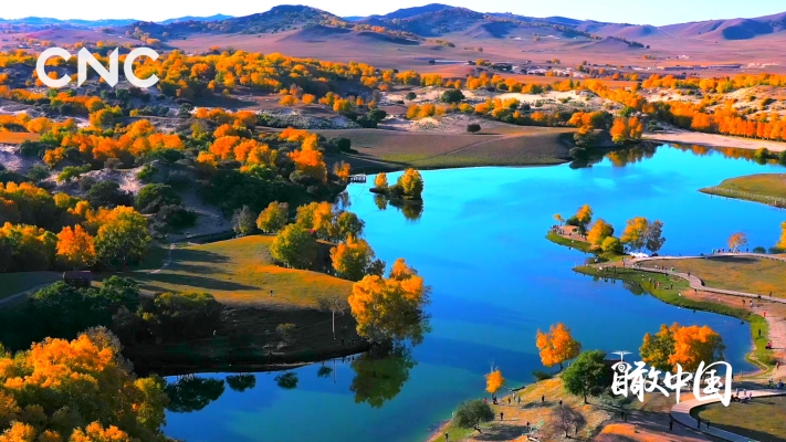 赤峰易升畫室電話多少號碼-第1張圖片