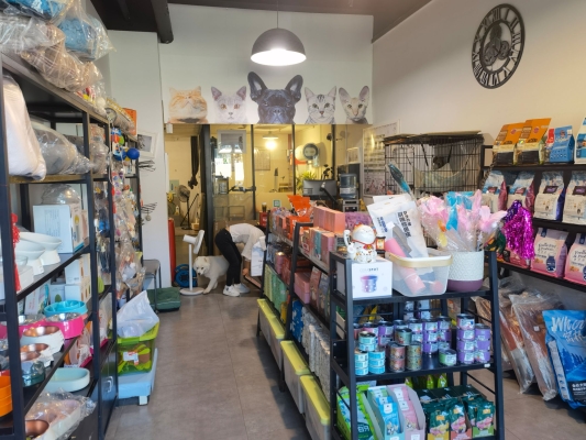 赤峰園林路寵物美容店電話號碼-第1張圖片