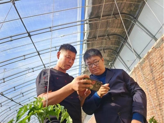 赤峰林東鎮(zhèn)社區(qū)電話號(hào)碼是多少-第1張圖片