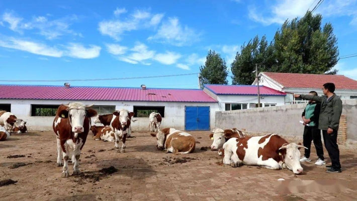 赤峰平莊養(yǎng)牛場電話地址查詢-第1張圖片