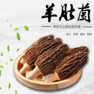 赤峰發(fā)酵菌種廠家電話號碼查詢-第1張圖片