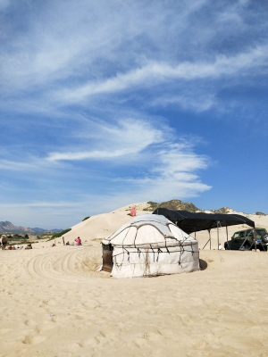 赤峰烏丹驢市場(chǎng)地址電話號(hào)碼-第1張圖片