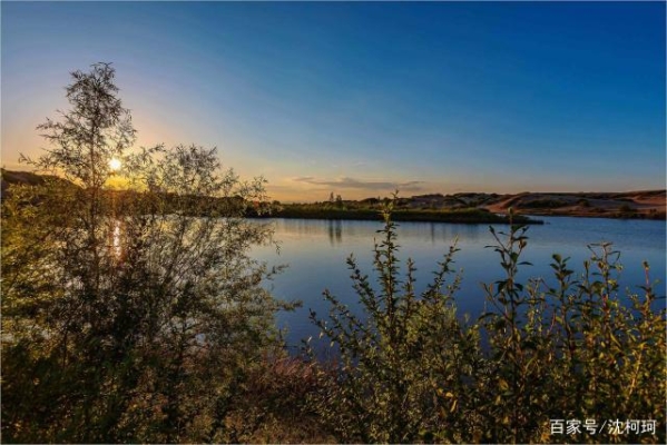 赤峰烏丹王家小院電話號碼-第1張圖片