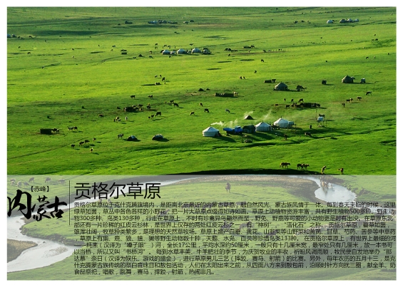 赤峰賣鳥的地方電話號碼是多少-第1張圖片