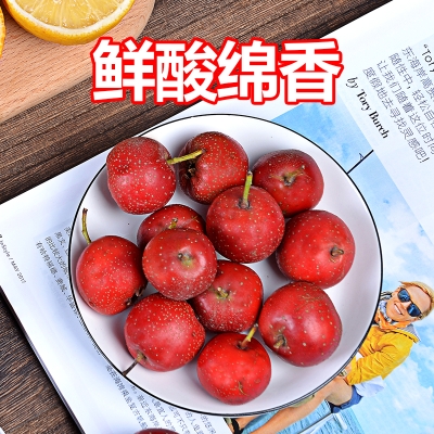 赤峰冰糖葫蘆批發(fā)電話號碼-第1張圖片