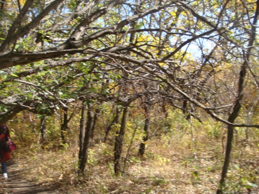 赤峰市林業(yè)局舉報(bào)電話-第1張圖片