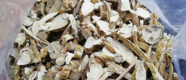 赤峰防風(fēng)藥材種植基地電話號碼-第1張圖片