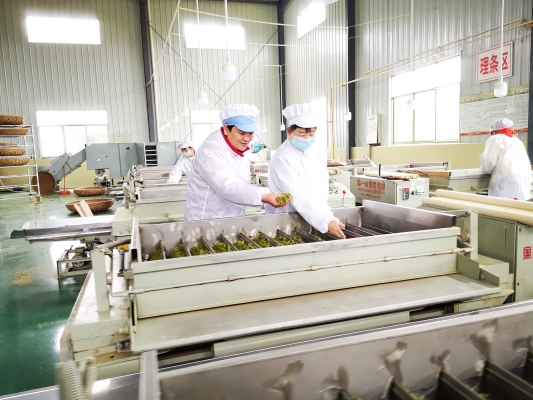 赤峰糖廠-第1張圖片