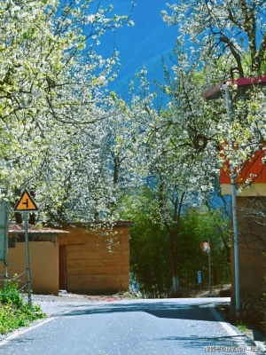 赤峰夕陽美旅行社地址電話號碼-第1張圖片