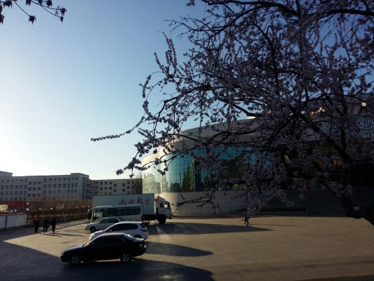 赤峰機(jī)場路山莊電話號碼查詢-第1張圖片