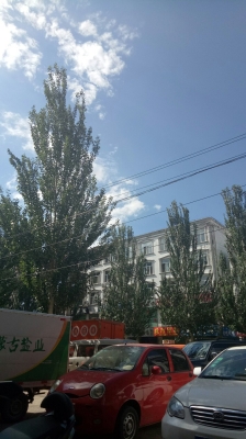 赤峰市敖漢旗計生辦電話號碼-第1張圖片