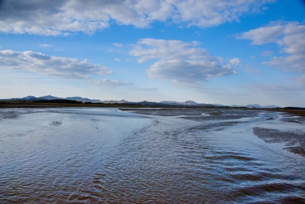 赤峰天山鎮(zhèn)配貨站電話-第1張圖片