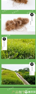 赤峰糖蜜批發(fā)電話號碼多少號-第1張圖片