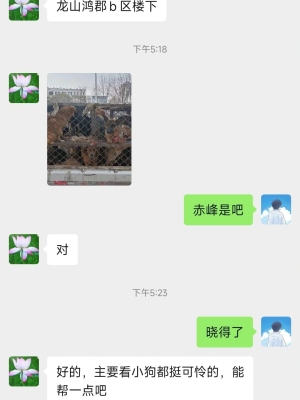 赤峰狗狗代養(yǎng)中心地址電話號碼-第1張圖片