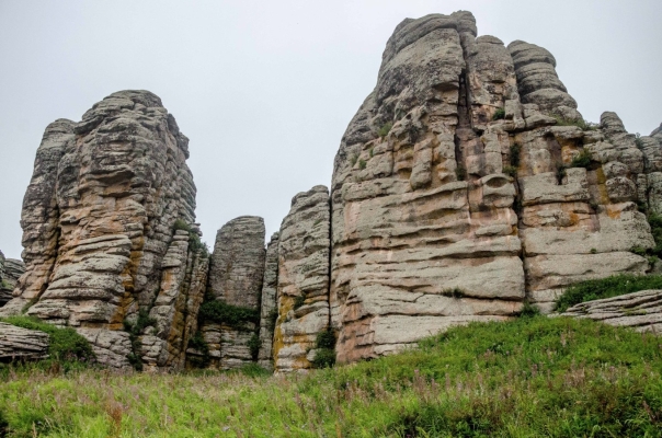 赤峰附近草塊加工廠電話號碼-第1張圖片