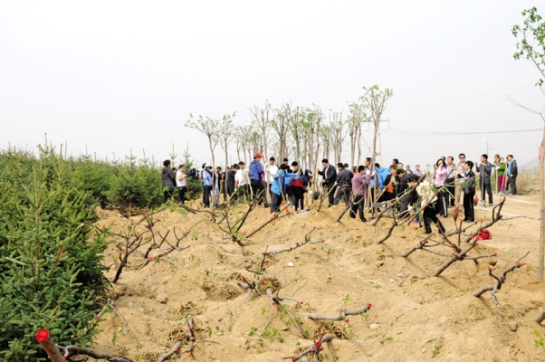 赤峰穆家營(yíng)中醫(yī)院電話號(hào)碼-第1張圖片