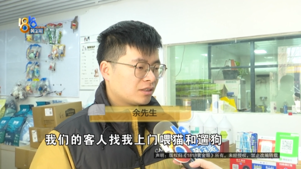 赤峰市上門喂貓電話號碼-第1張圖片