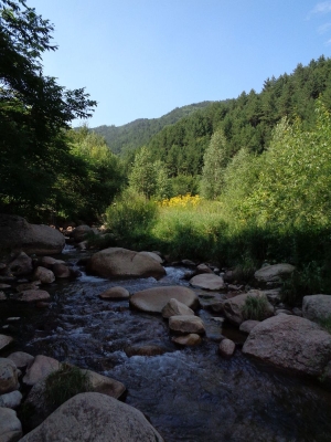 赤峰碧須香皂廠家電話地址查詢-第1張圖片