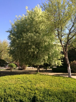 赤峰紅山區(qū)鑫緣賓館電話號碼-第1張圖片