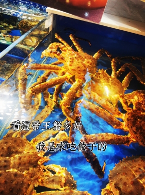 赤峰福心餃子館地址電話號碼-第1張圖片